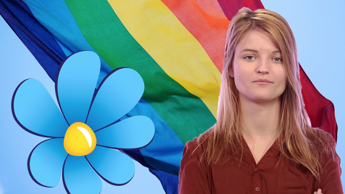 Sverigedemokraterna har under åren präglats av homofobiska uttalanden. Men med takt att partiet har växt så har något hänt. 